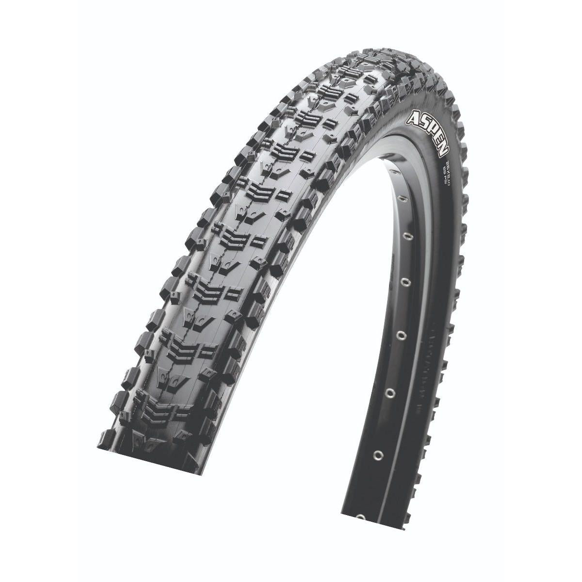 Maxxis Aspen Folding MTB Tyre EXO TR