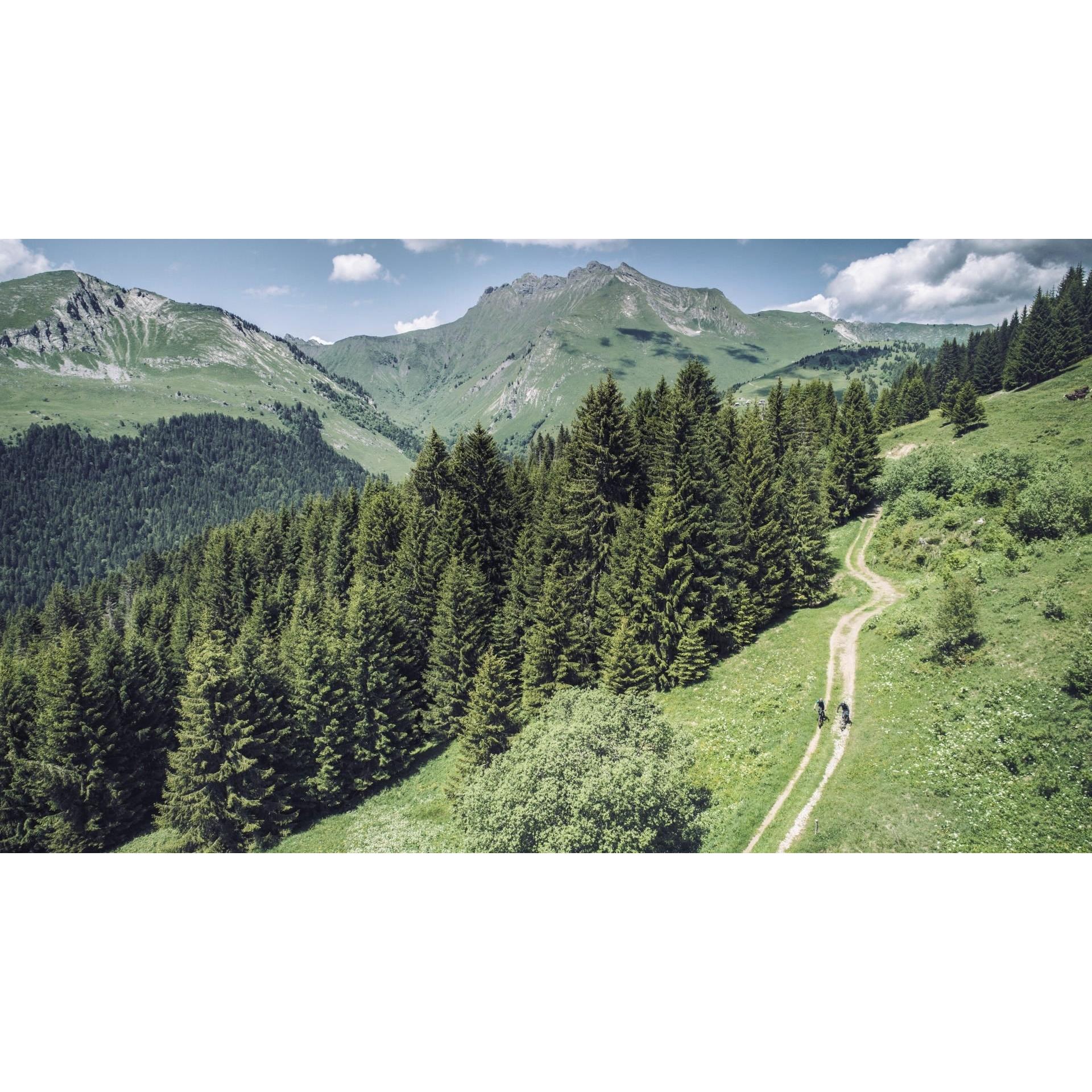 Cube Reaction Hybrid Pro 500 Electric Hardtail Mountain Bike Flash White 'n' Black