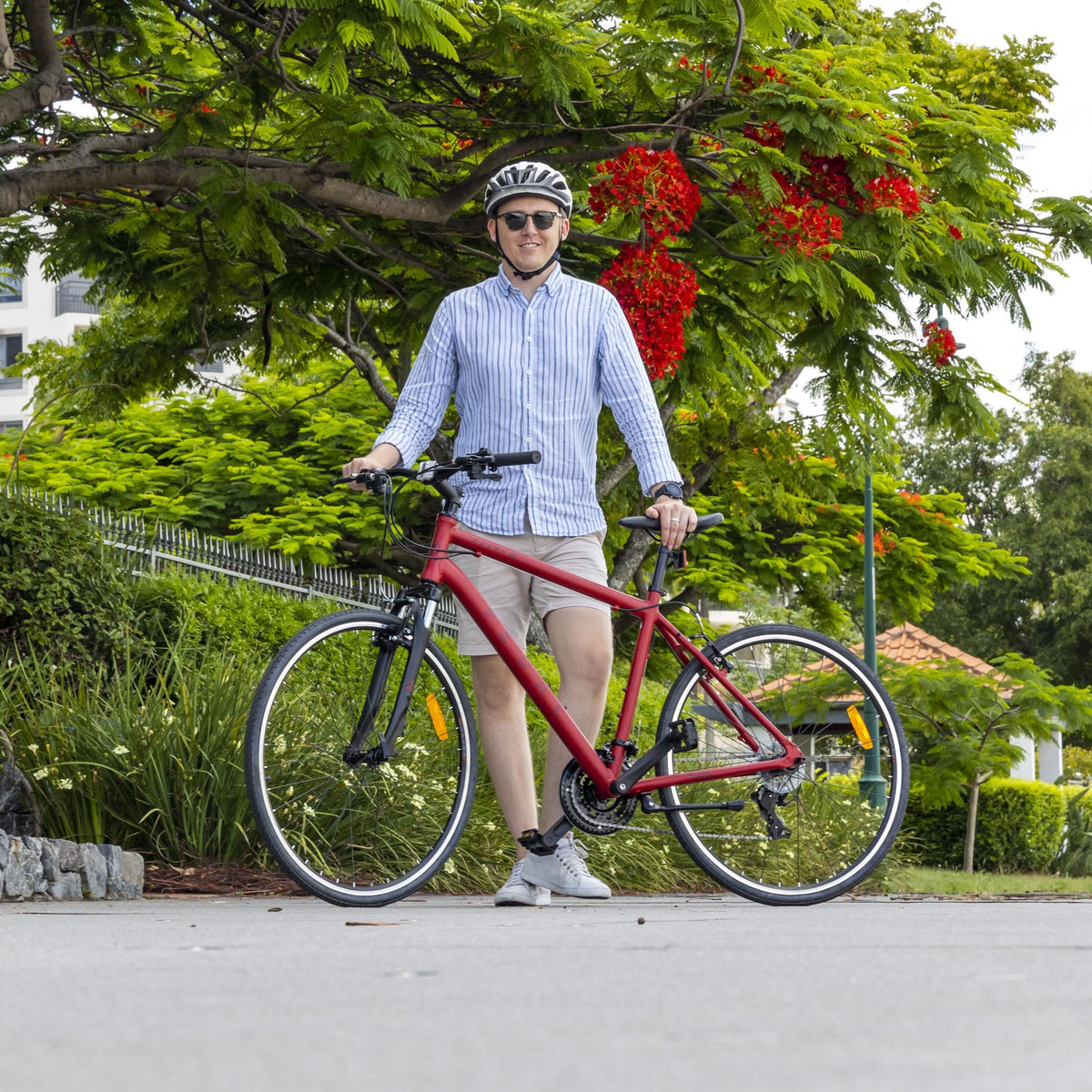 Clearance Bikes