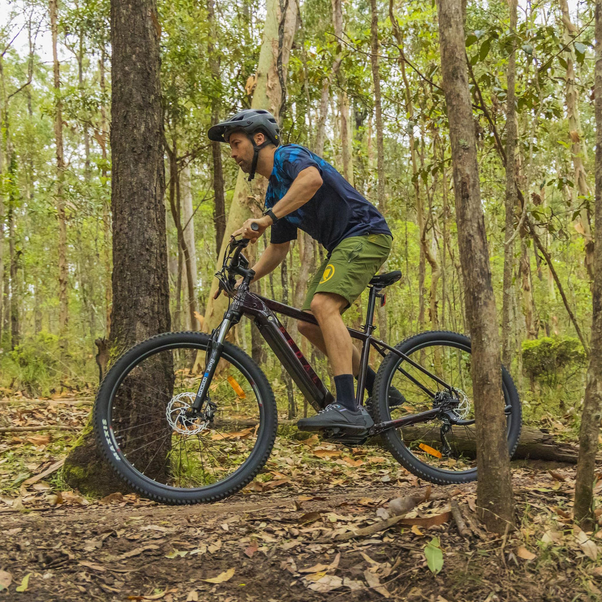 Pedal Lynx collection banner