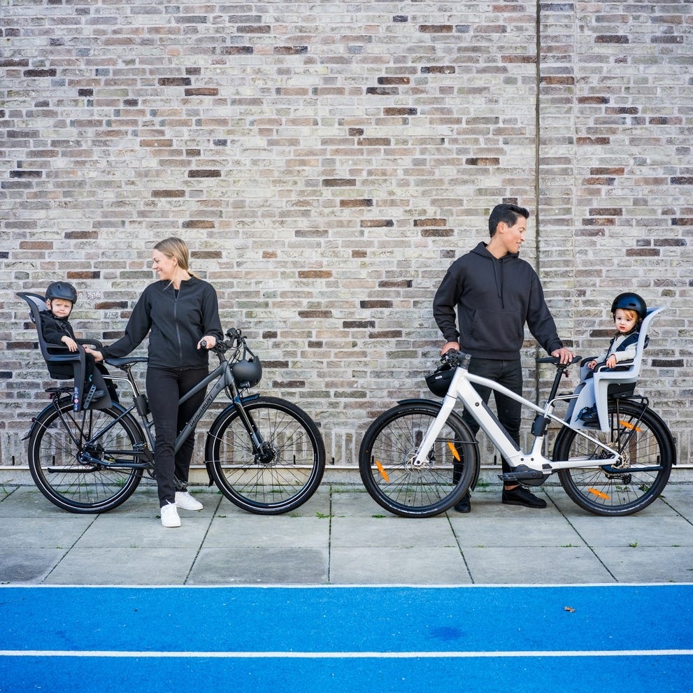 Thule RideAlong 2 Tiltable Child Bike Seat Light Grey