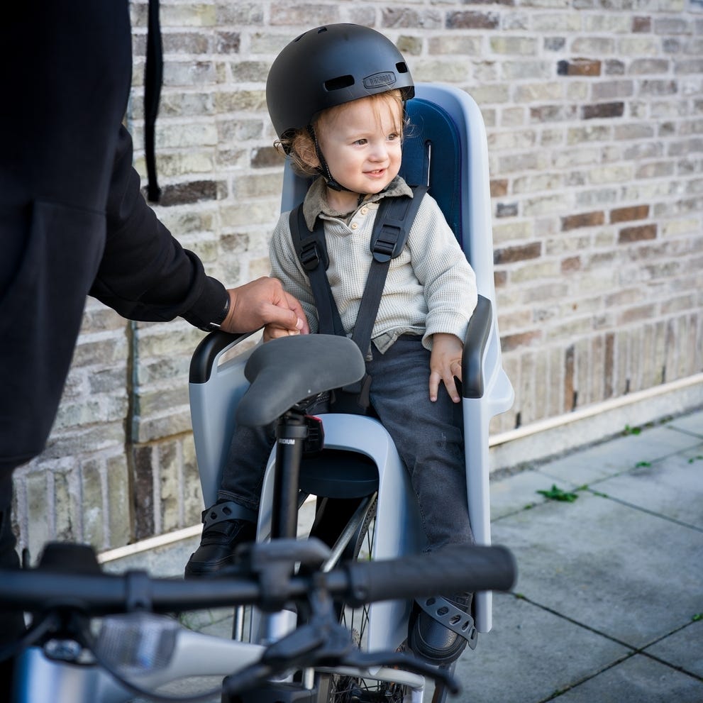 Thule RideAlong 2 Tiltable Child Bike Seat Light Grey