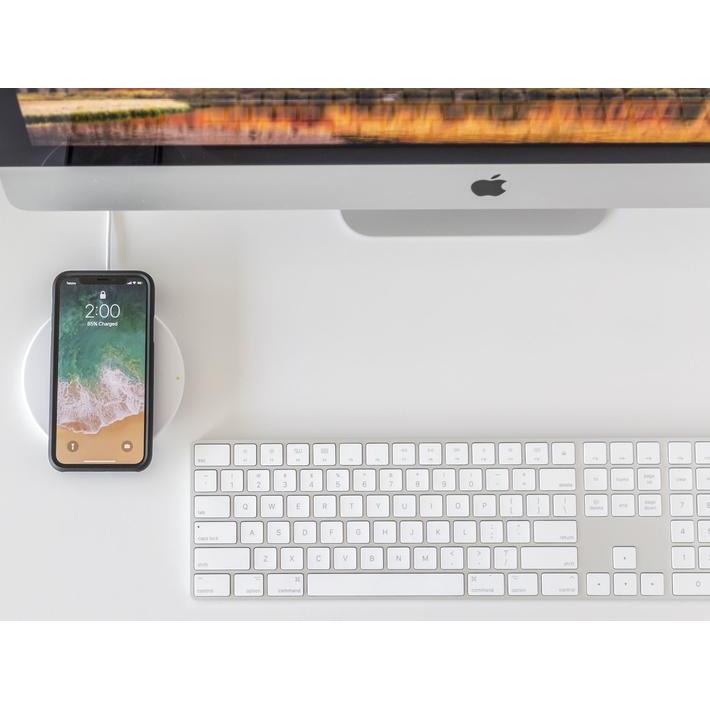 Quad Lock iPhone 11 PRO Phone Case