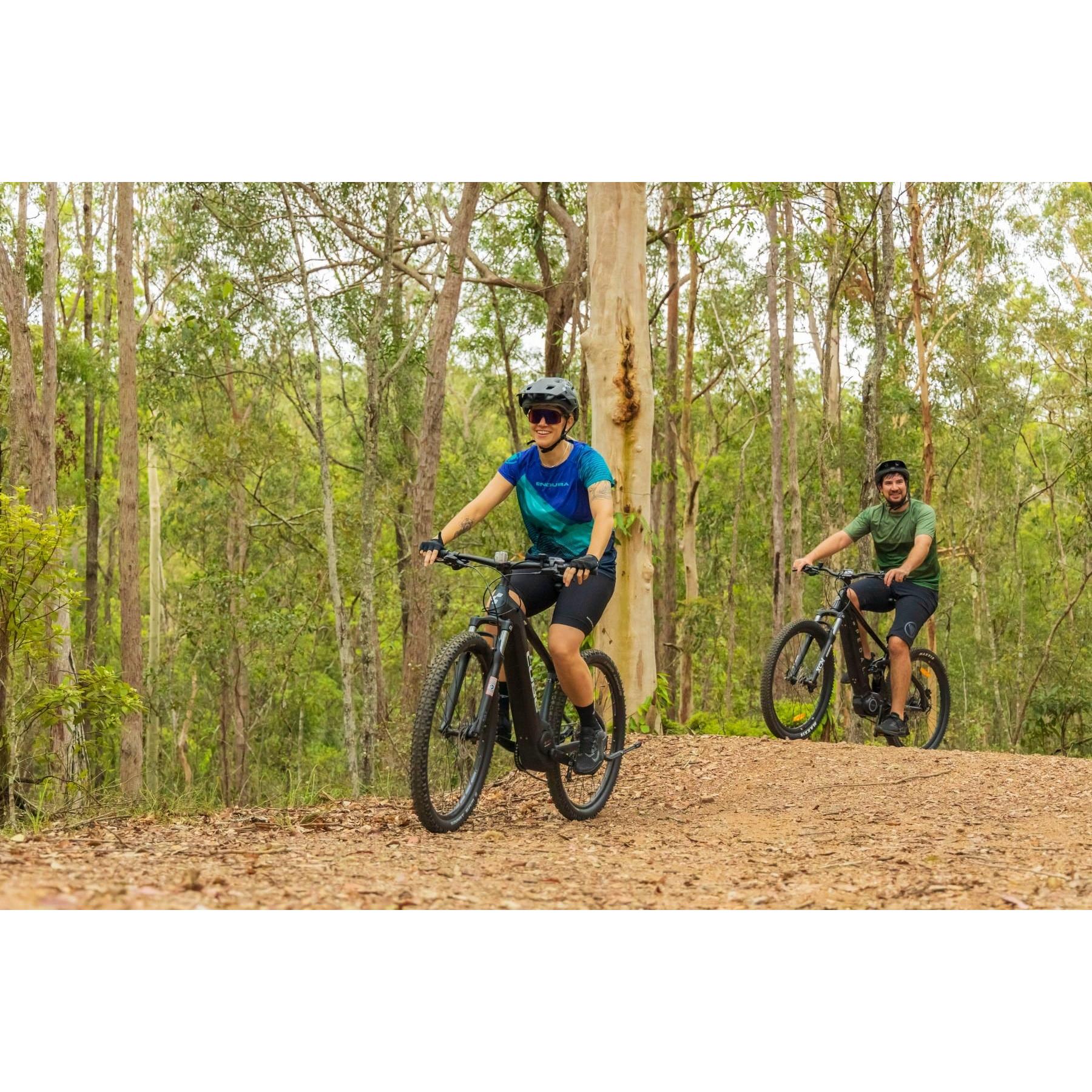 Cube Reaction Hybrid Performance 400 Electric Mountain Bike Grey (2022)