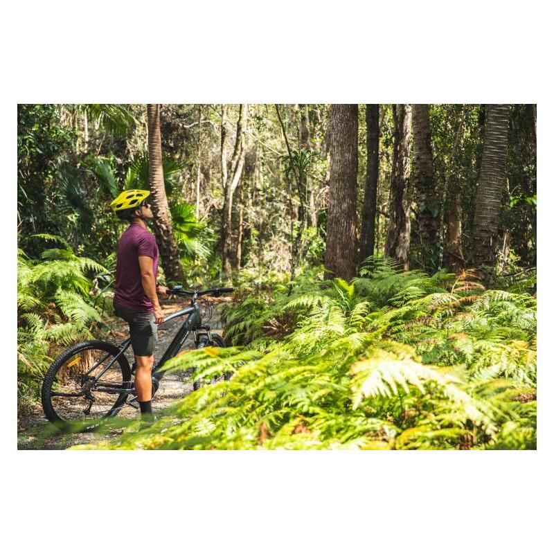 VelectriX Ascent Pulse Electric Mountain Bike Grey