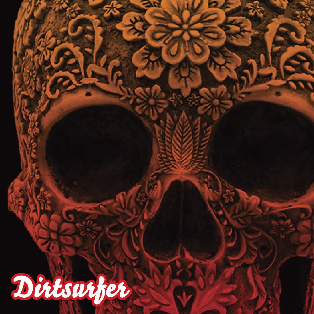 Dirtsurfer Mudguard Carved Skull