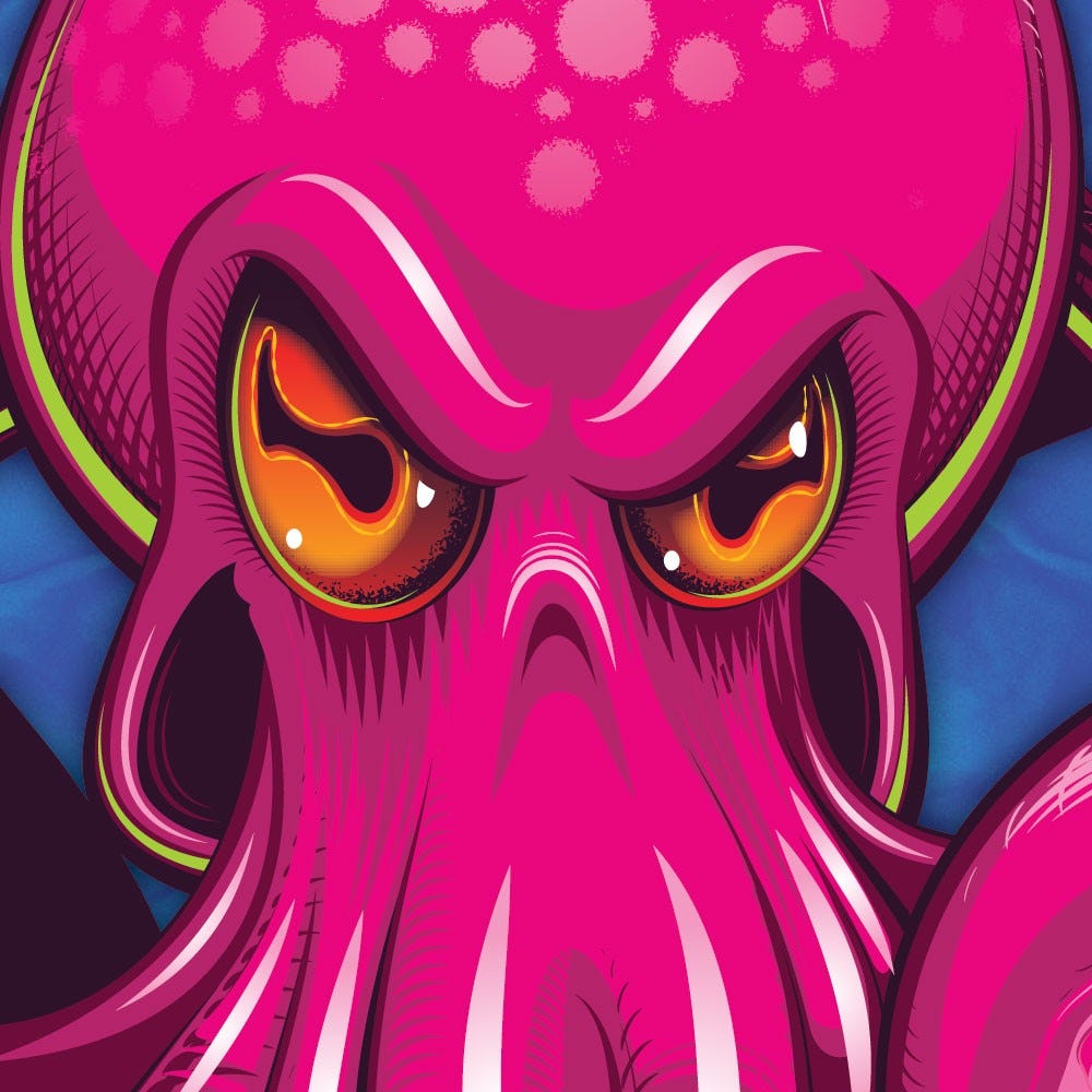 Dirtsurfer Mudguard Octopus Pink on Blue