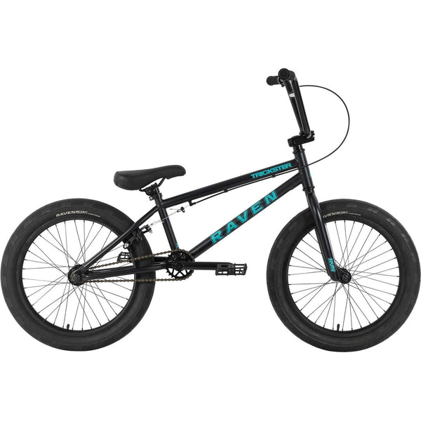 タカさん( ￣ー￣)ノ 専用　TNB BMX trickster マットブラック タカさん( ￣ー￣)ノ 専用 TNB BMX trickster マットブラック