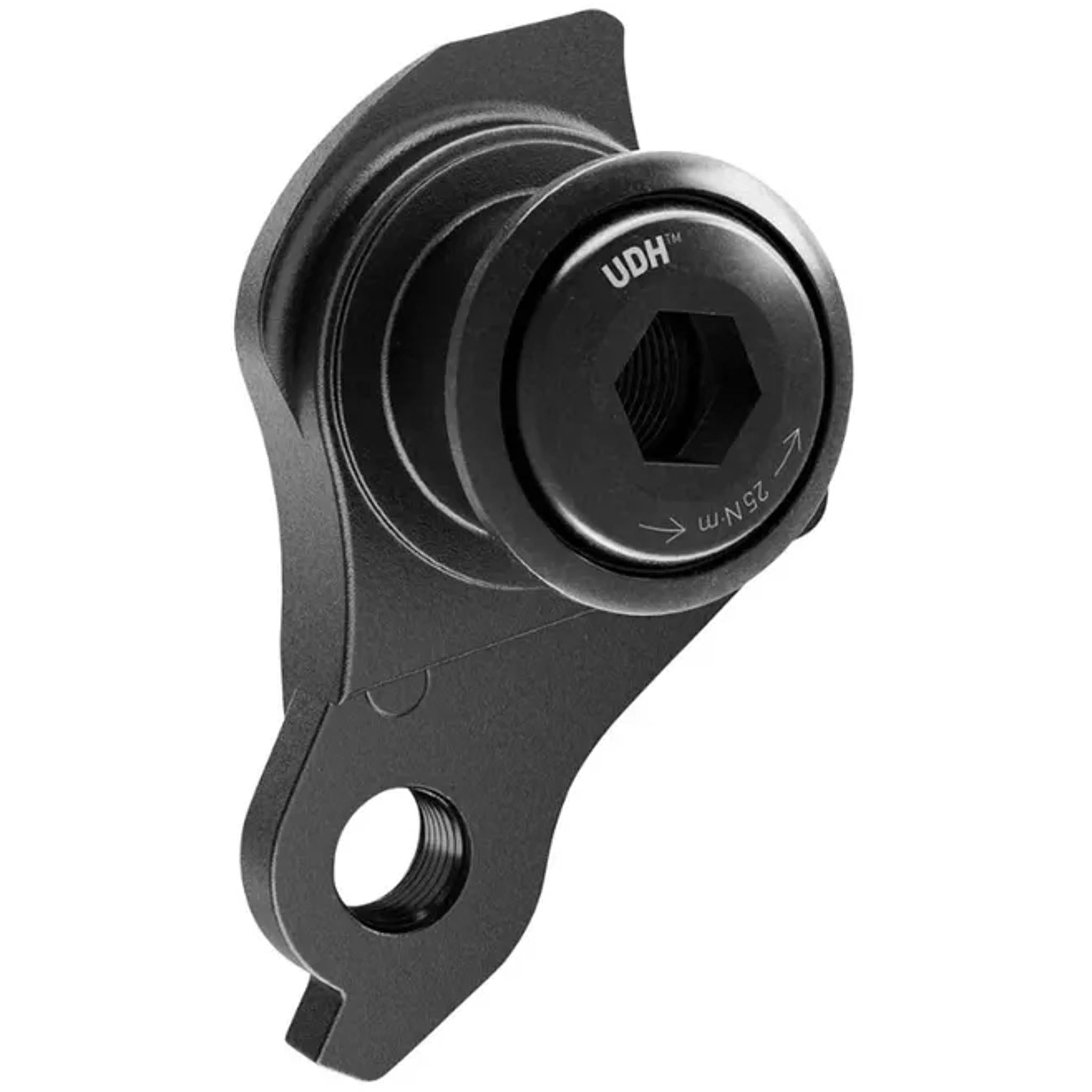 BPW Rear Derailleur Hanger for UDH M12 x P1.0 Matte Black