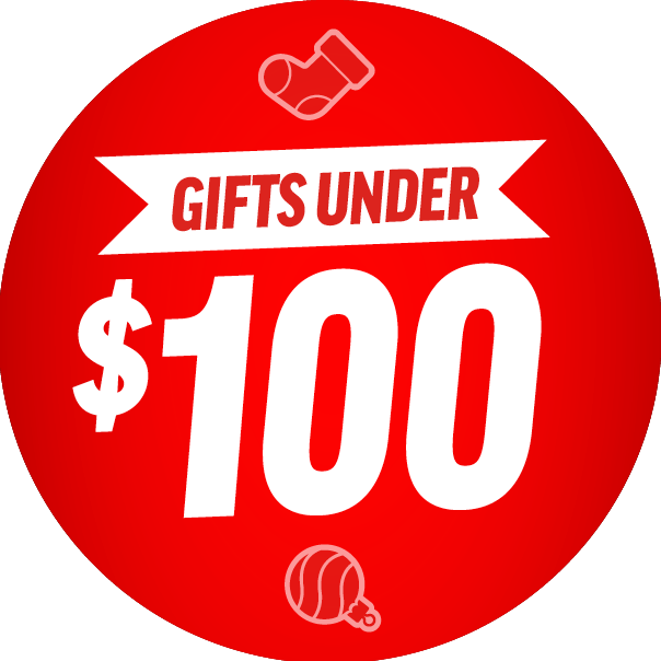 Gifts Under $100