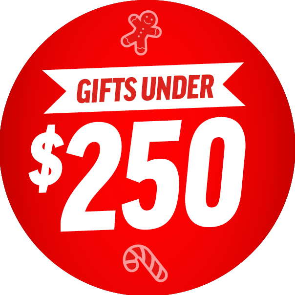Gifts under $250