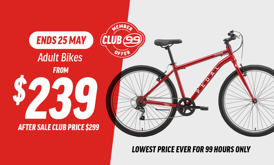 99 Bikes