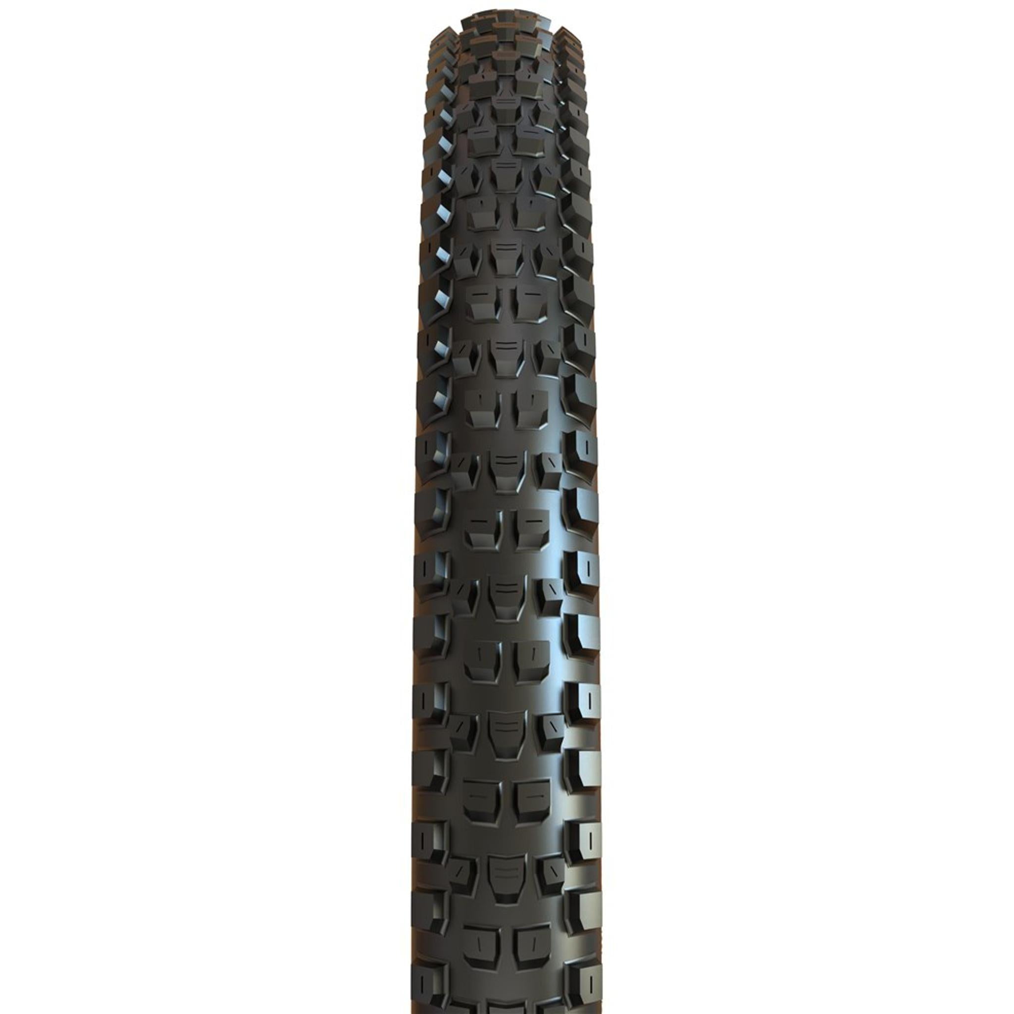 Maxxis Dissector TR WT 3C MaxxTerra Folding MTB Tyre 29x2.4''