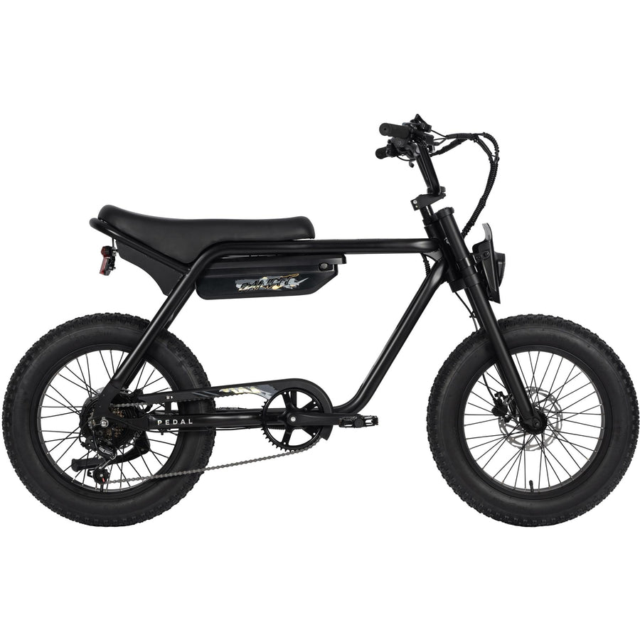 Pedal Electric Bikes