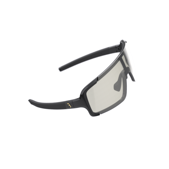 BBB Chester Sunglasses Black with Photochromic Lens