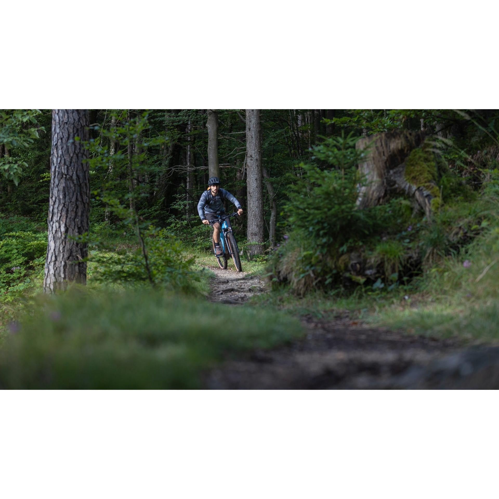 Cube Reaction Hybrid ABS 750 Electric Hardtail Mountain Bike Grey n Blue