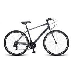 Radius Vista 20 (2018)