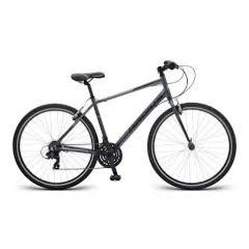 Radius Vista 20 (2018)