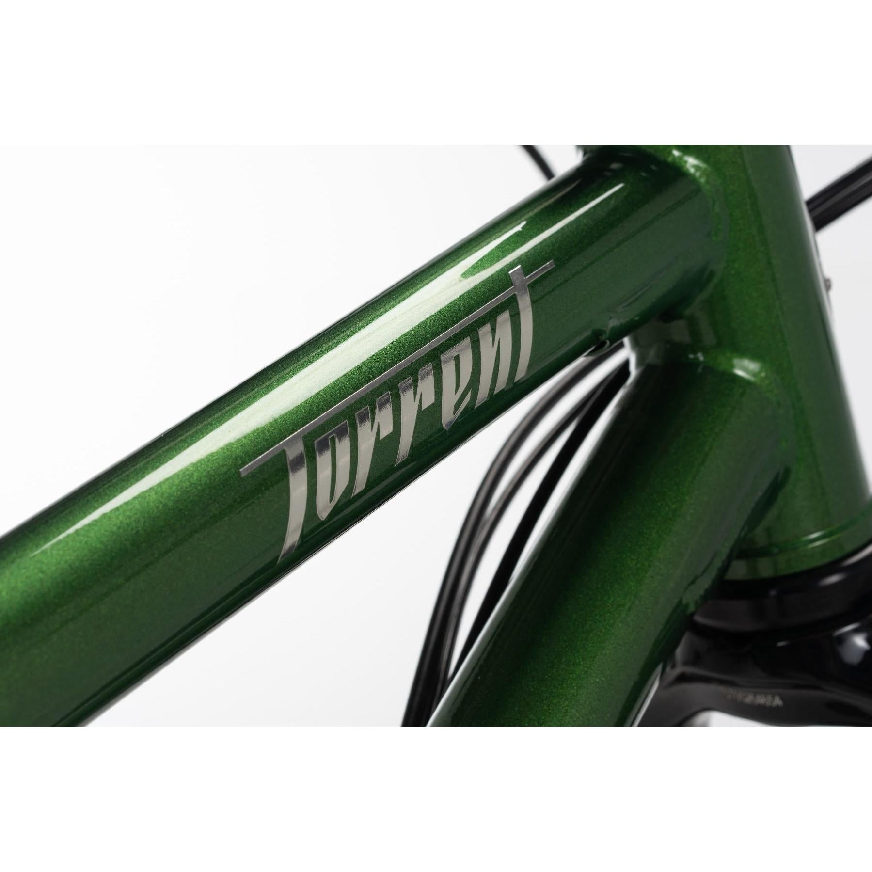 Norco Torrent HT S1 Mountain Bike Green/Chrome