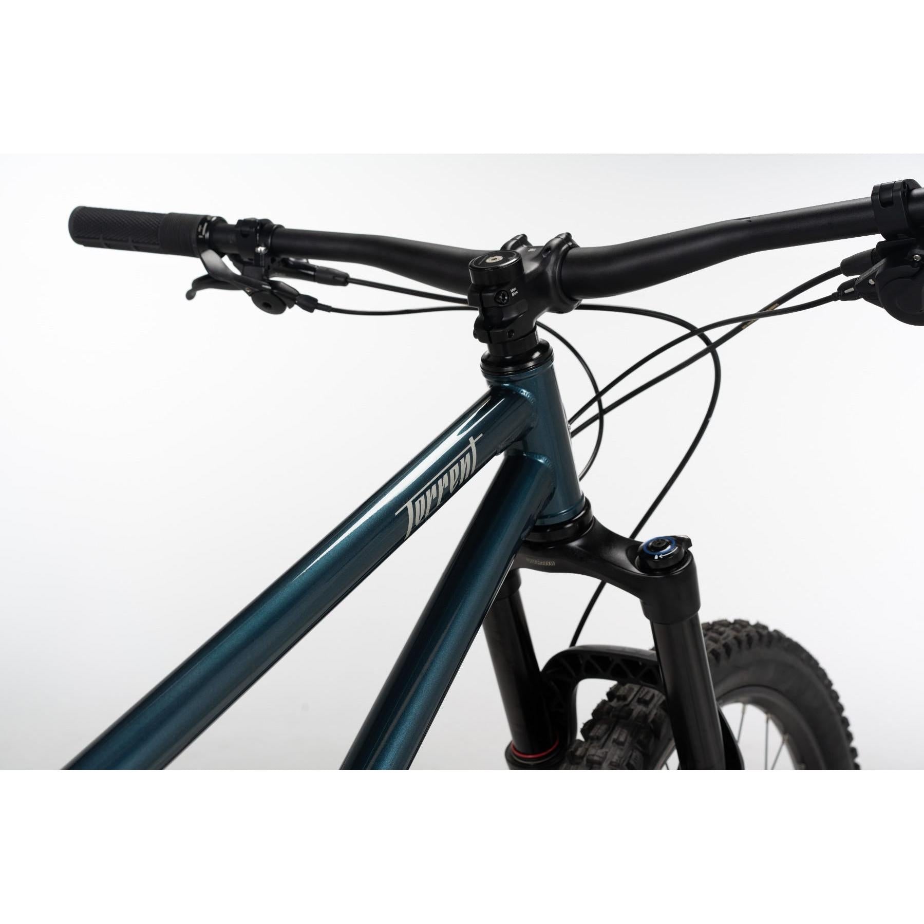 Norco Torrent HT S2 Mountain Bike Green/Silver