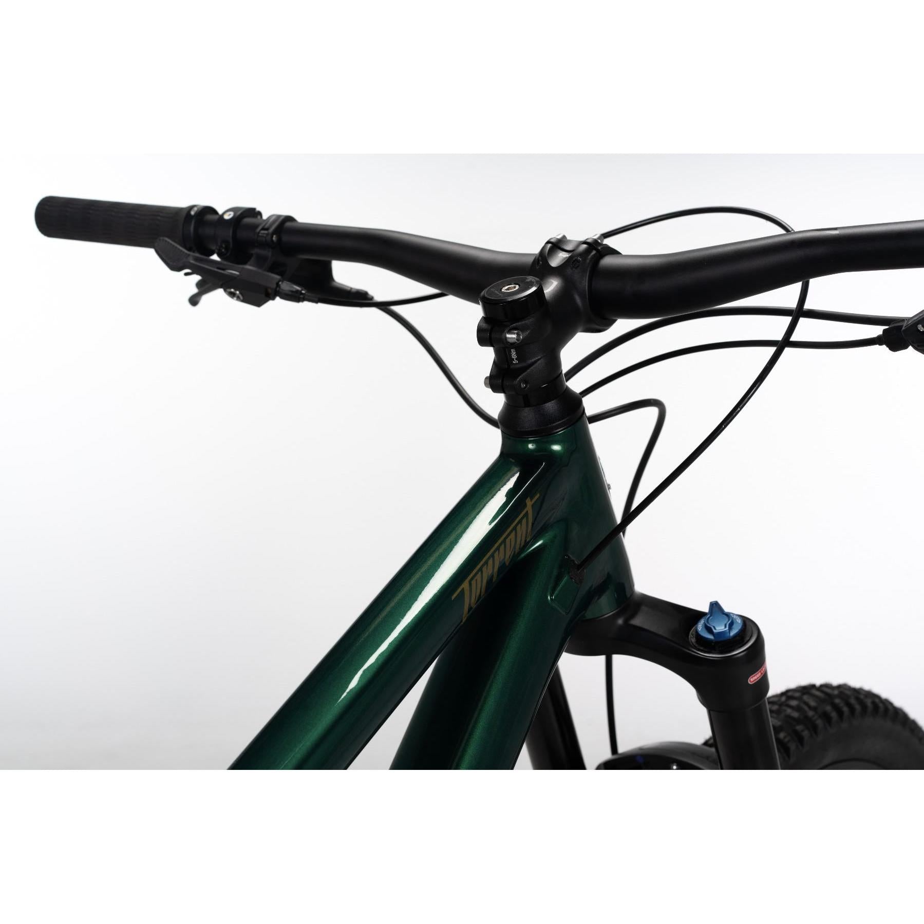 Norco Torrent HT A2 Mountain Bike Green/Copper