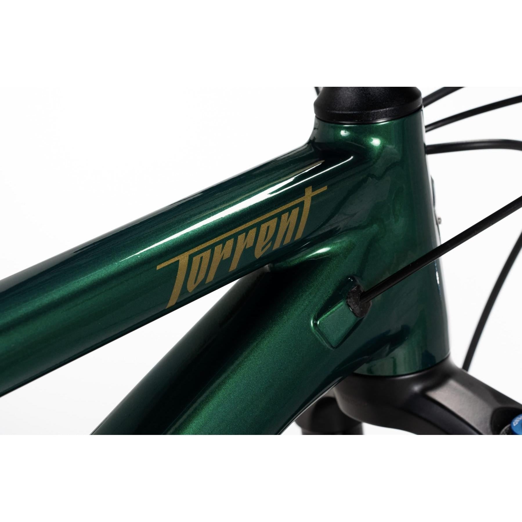 Norco Torrent HT A2 Mountain Bike Green/Copper