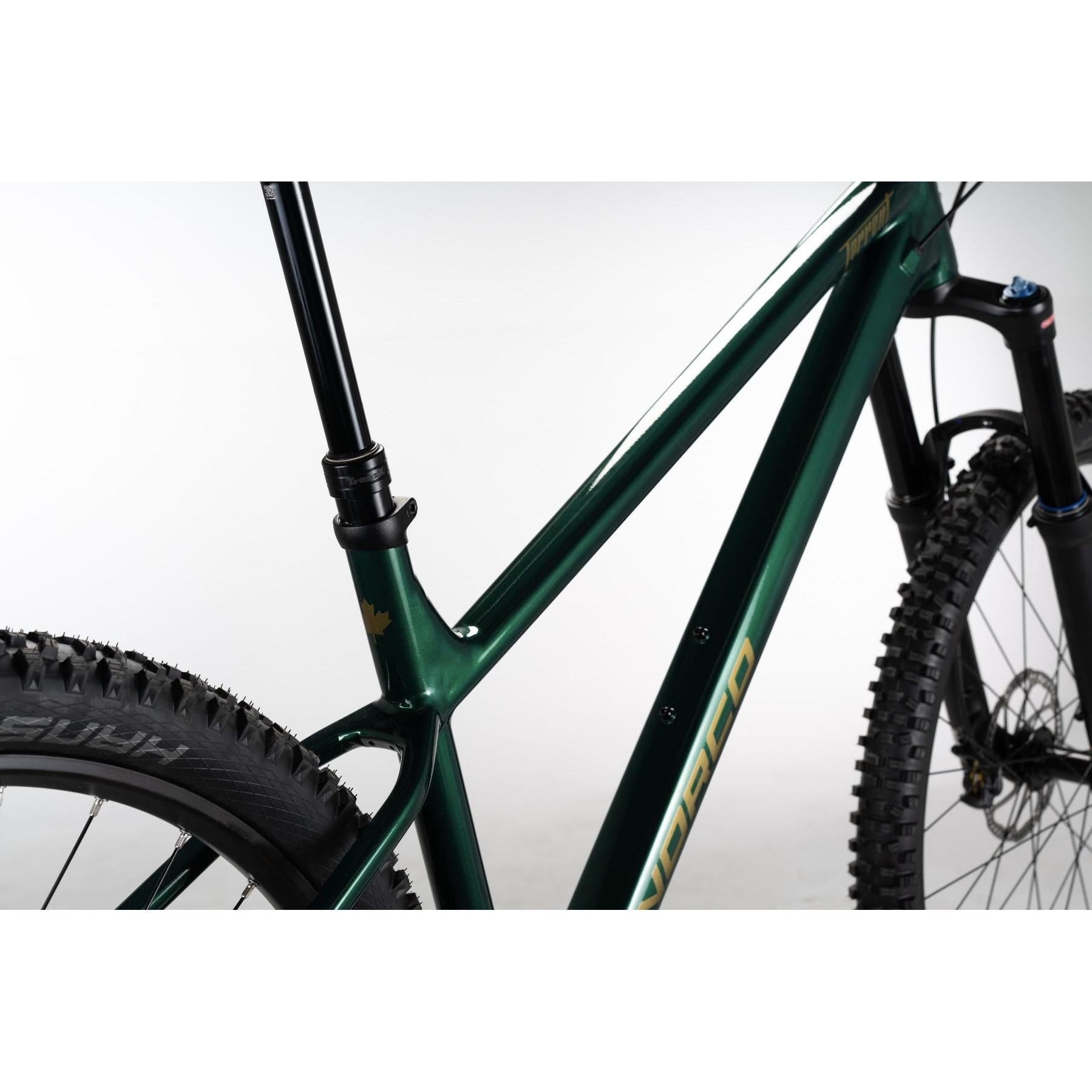 Norco Torrent HT A2 Mountain Bike Green/Copper