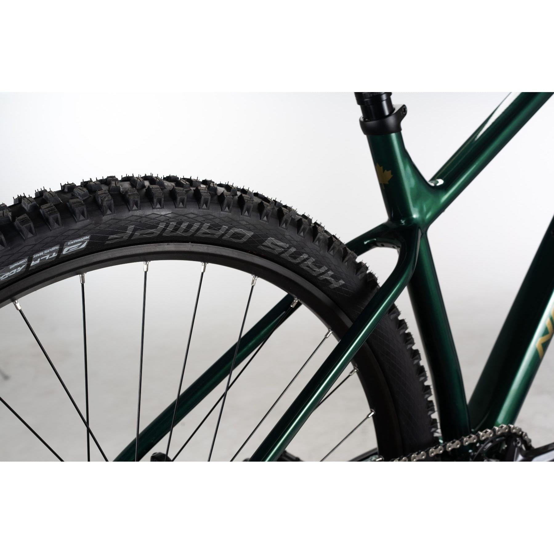 Norco Torrent HT A2 Mountain Bike Green/Copper