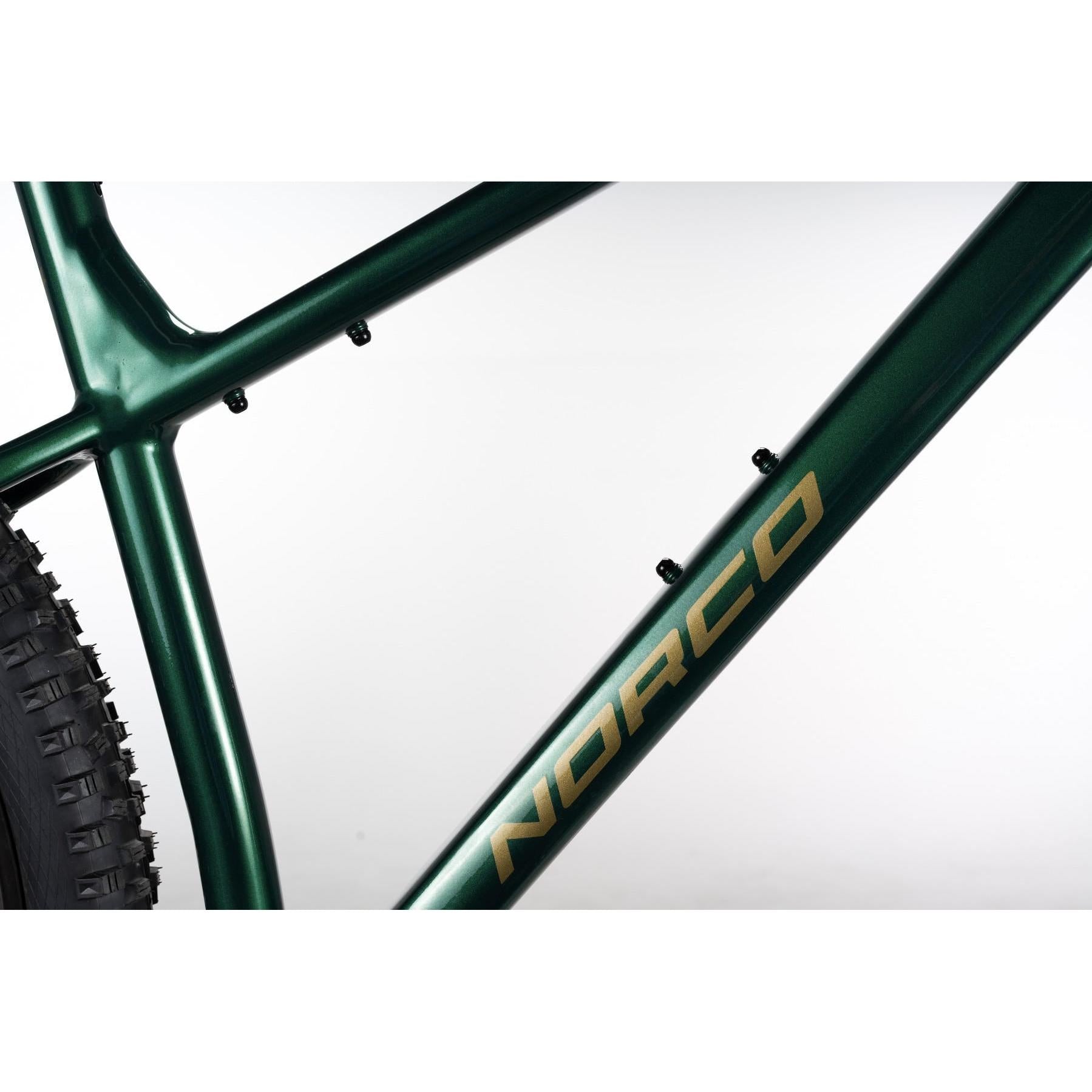 Norco Torrent HT A2 Mountain Bike Green/Copper
