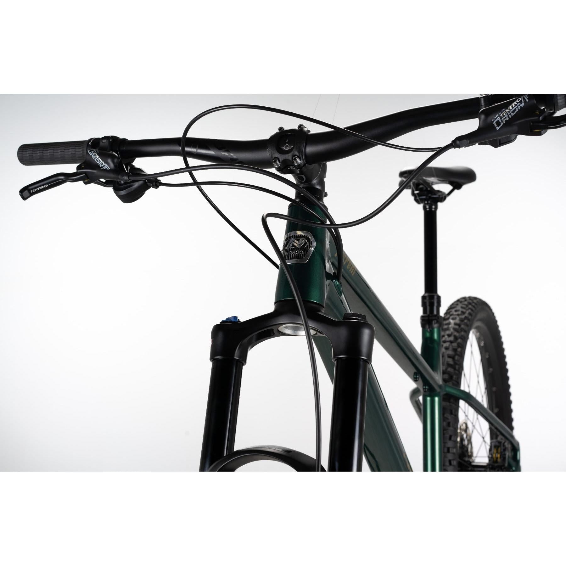 Norco Torrent HT A2 Mountain Bike Green/Copper
