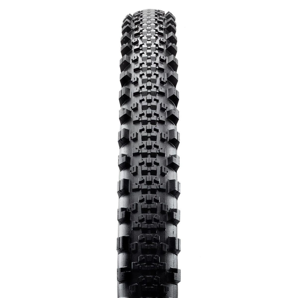 Maxxis Minion SS Folding MTB Tyre EXO TR