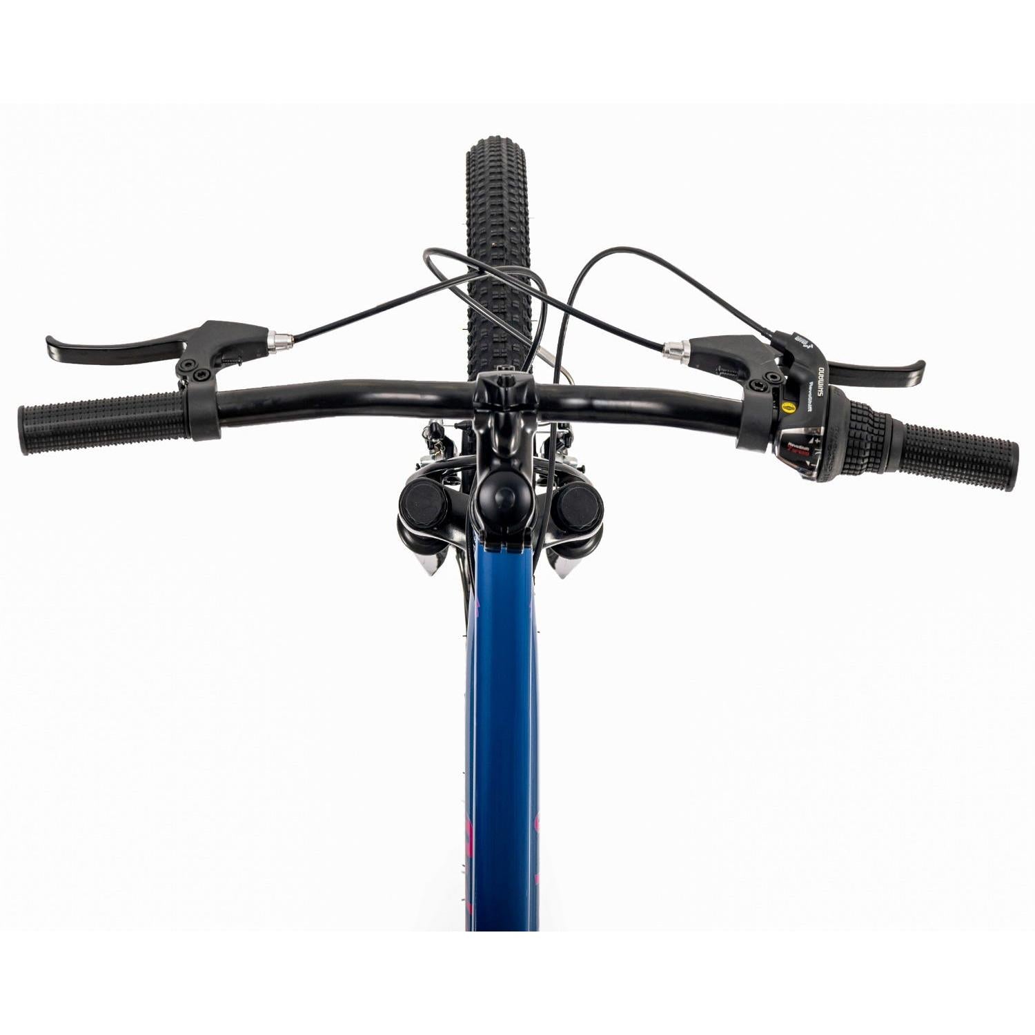 Pedal Roar 24'' Kids Bike Steel Blue Pink