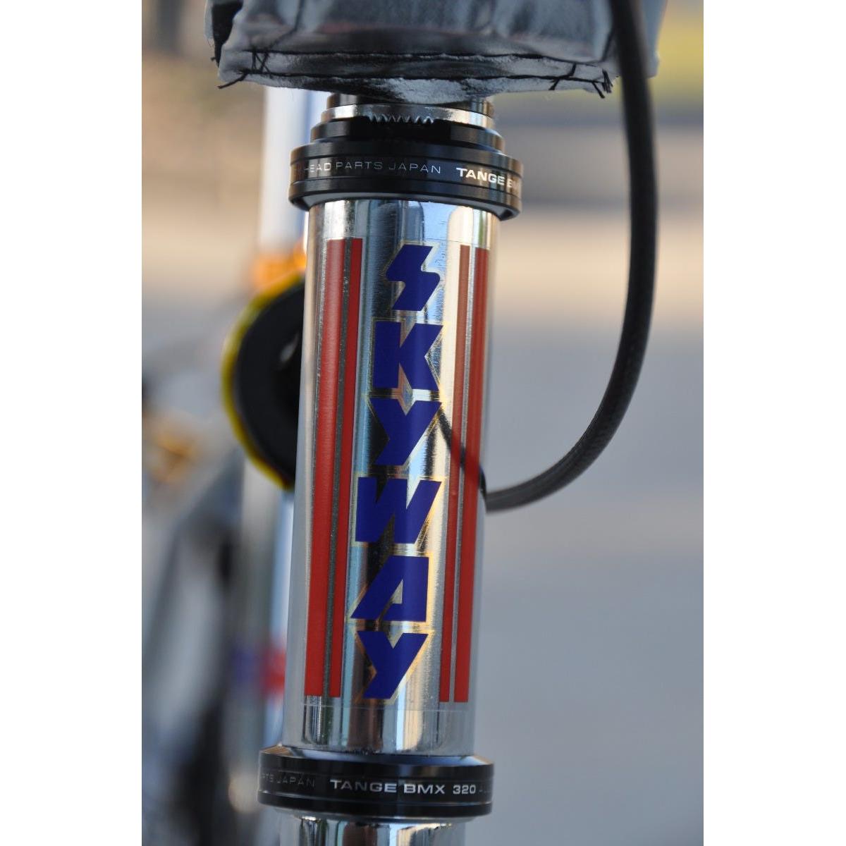 Skyway TA 20 Pro Replica 20" BMX Bike Graphite