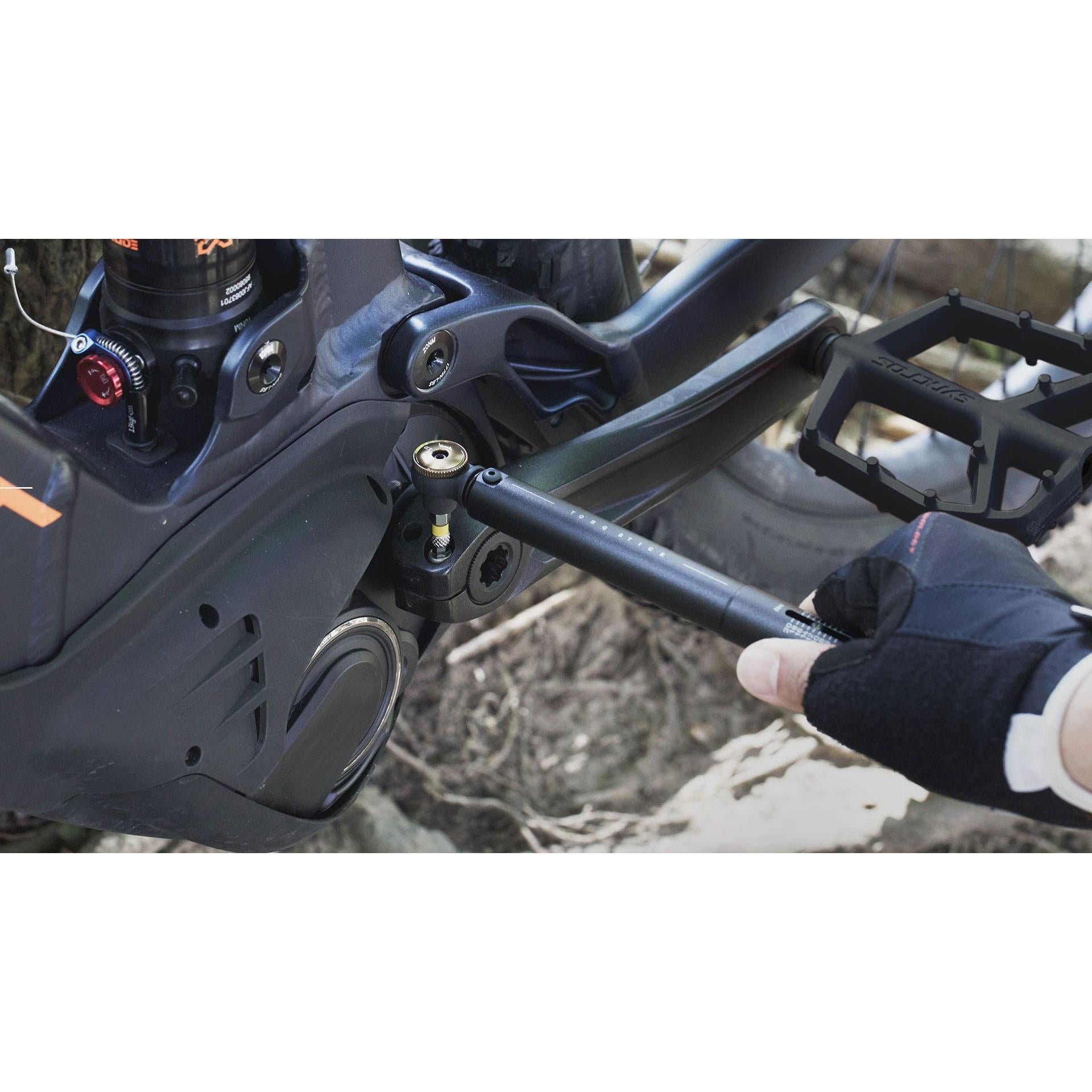 Topeak Torq Stick 4-20Nm